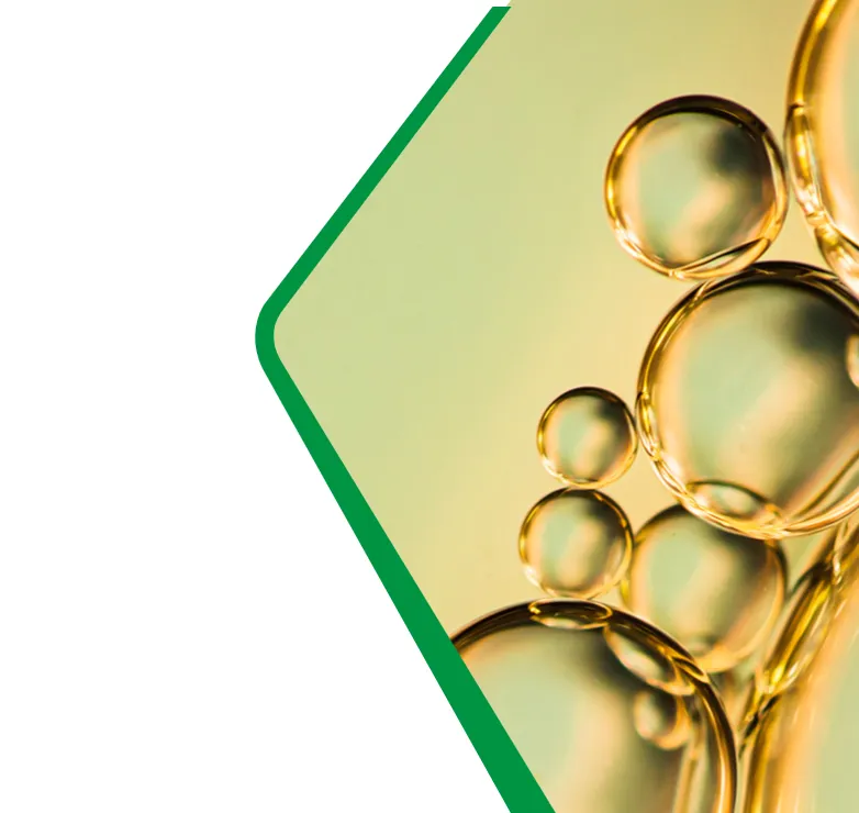Lubricants Castrol Marine Enriel